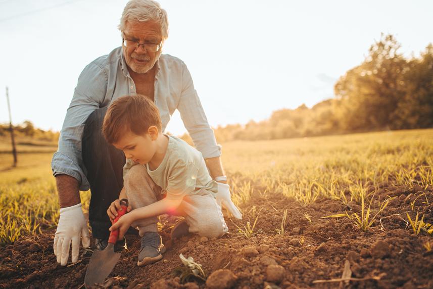Grandson and grandfather gardening